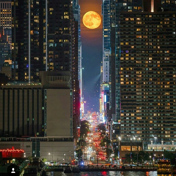 Meet your Posher, Scott - Picture 2 of 2